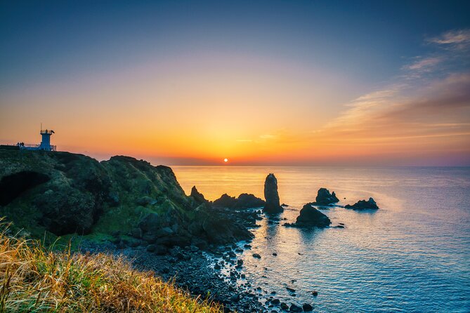 1-Day Jeju Shore Excursion – UNESCO Highlights for Cruise Guests - Five things to know before booking
