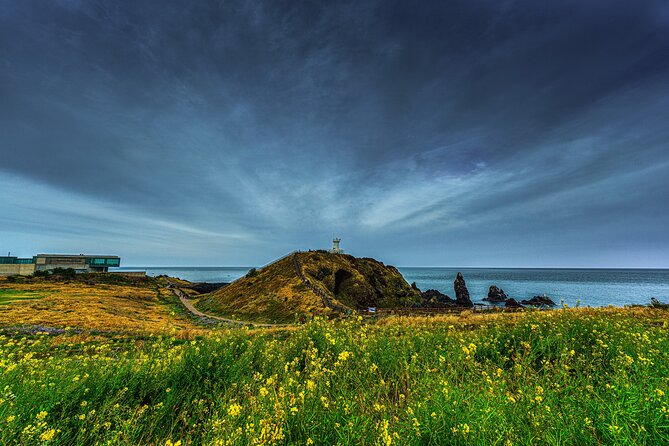 1-Day Jeju Shore Excursion – UNESCO Highlights for Cruise Guests - Final call: a smart cruise-day sampler