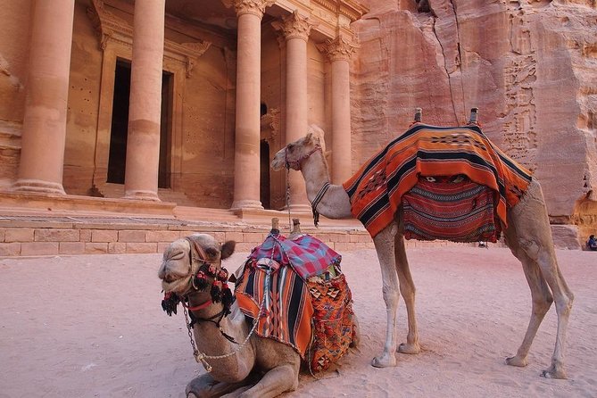 2 Day 1 Night Petra & Wadi Rum Shore Excursion (ON Petra) - A four to five hour jeep tour through Wadi Rum