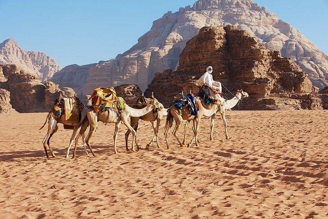 2 Day 1 Night Wadi Rum (Overnight) & Petra Shore Excursion - Is $574.36 per person good value?