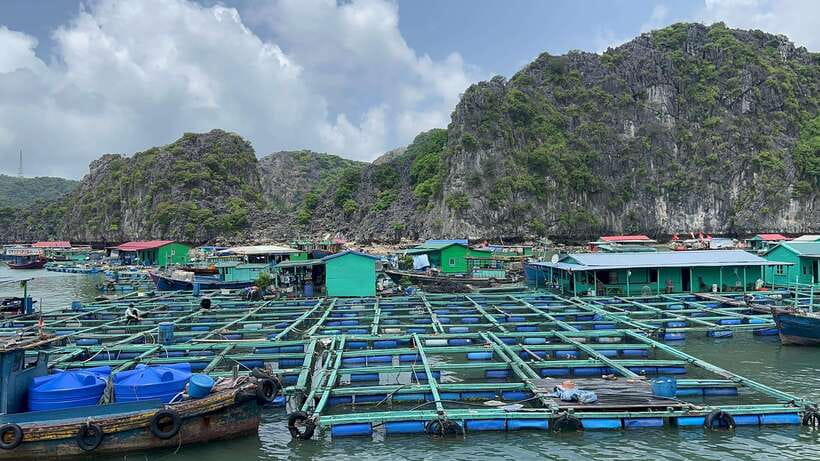 2-Day Lan Ha and Cat Ba Cruise Tour By 3 Star Cruise Ship - Cooking class and meals on board