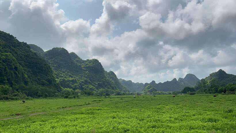 2-Day Lan Ha and Cat Ba Cruise Tour By 3 Star Cruise Ship - What the cabin arrangement really means
