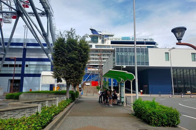 4/5/6 Hours Private Osaka Tour Designed for Cruise Passengers - Five things to know before you book