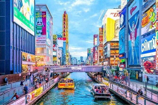 4/5/6 Hours Private Osaka Tour Designed for Cruise Passengers - What the private guide adds