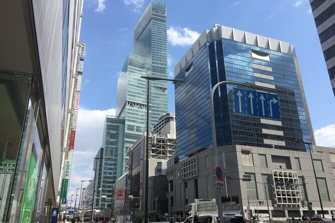 4/5/6 Hours Private Osaka Tour Designed for Cruise Passengers - Walking, trains, tickets, and the real cost