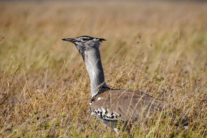 5-Day Private midrange Tour in Arusha with Airport Pickup - Key points before you book
