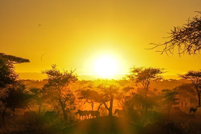 5-Day Private midrange Tour in Arusha with Airport Pickup - The route gives you Tanzania’s greatest hits