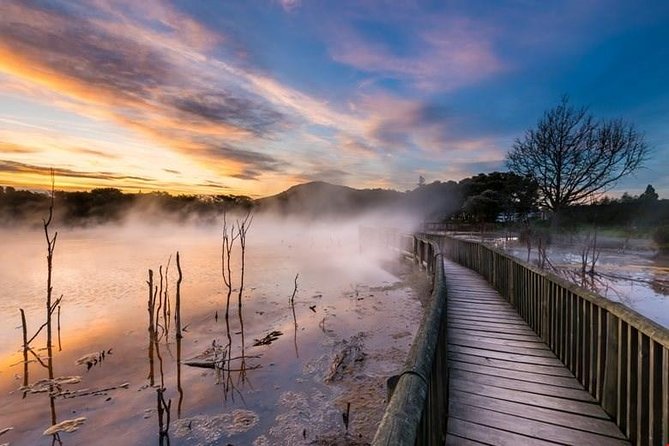 6.5 hour Small-Group Rotorua Naturally Shore Excursion - Tauranga - Six things to know before you book