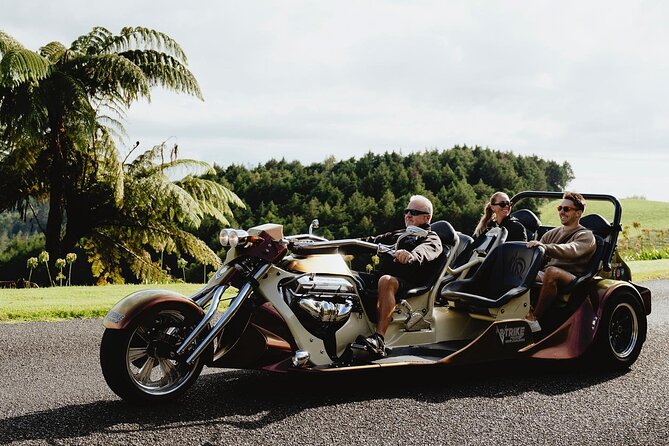 6.5 hour Small-Group Rotorua Naturally Shore Excursion - Tauranga - The Redwoods Treewalk and the glow worm cave