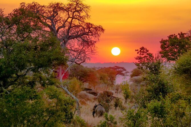6-Day Private midrange Tour in Arusha with Airport Pickup - Guides, Vehicles, Meals, and Comfort
