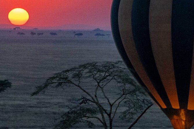 7-Day Private midrange Tour in Arusha with Airport Pickup - How this seven-day safari works