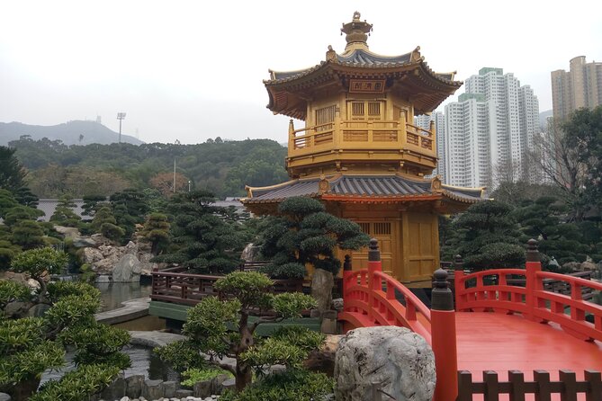 8 Hour Private Excursion Cruise Ship Pick up Tour Driver & Guide - Mong Kok markets bring the noise and color