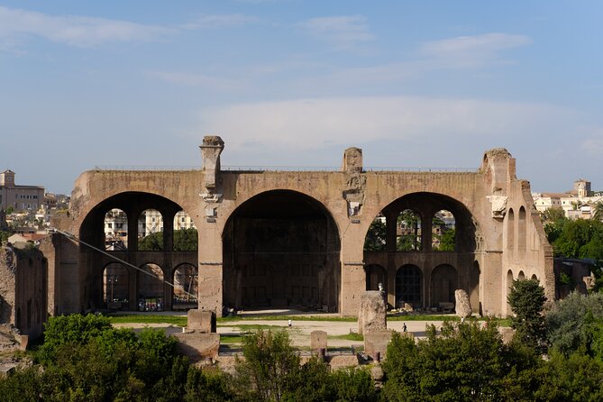 A Deluxe Private Tour of Rome Right from Your Cruise Ship - From Civitavecchia to the ancient city