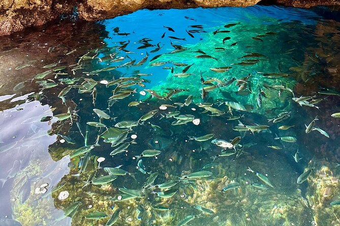 A Relaxing Private Corfu Sea Tour for Cruise Passengers - Ipsos Blue Lagoon and its one-hour swimming break