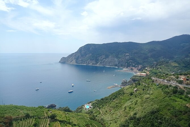 Accessible Cinque Terre and Pisa Private Excursion from Livorno - What makes this excursion worth considering