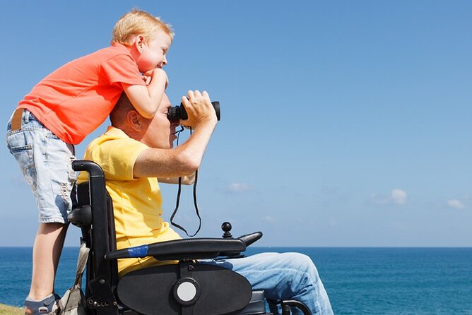 Accessible Tour In Athens, 3 Hours Athens Panorama Shore Excursion - The Acropolis, seen with realistic expectations