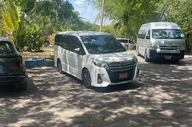 Airport Pickup, Dropoff to any Resort or Airbnb in Montego Bay - Accessibility and practical details