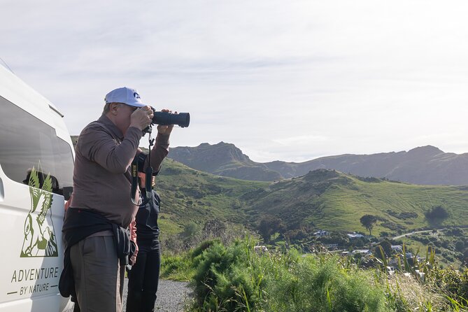 Akaroa & Banks Peninsula from Lyttelton(Private Shore Excursion) - Key points at a glance
