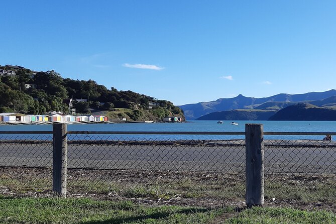 Akaroa & Giants House Garden tour ex Lyttelton (Shore Excursion) - What the $340.69 price includes