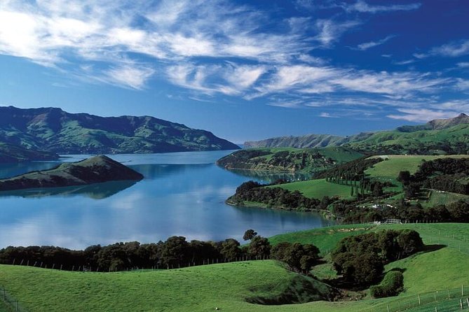 Akaroa Shore Excursion: Banks Peninsula and Christchurch City Sights Tour - Key points to know before you book