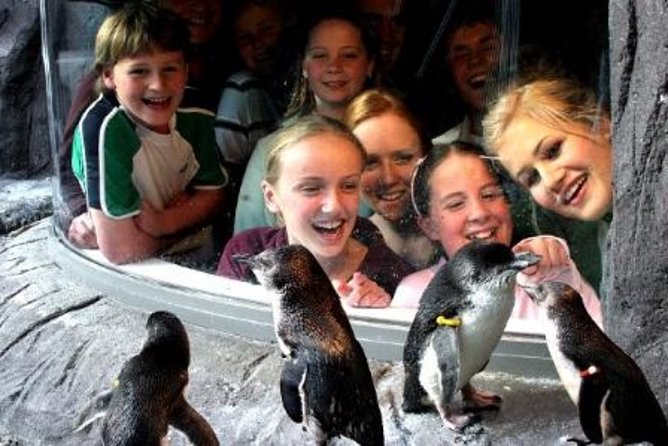 Akaroa Shore Excursion: Banks Peninsula, Christchurch City Tour and the International Antarctic Centre - Who should book this Akaroa excursion?