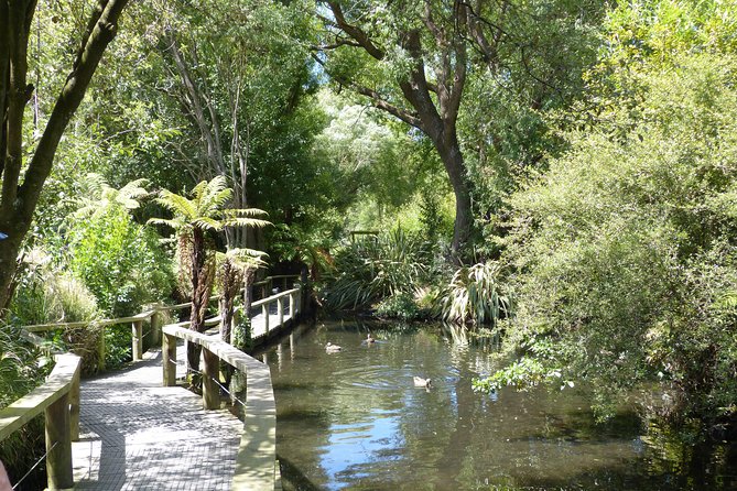 Akaroa Shore Excursion: Banks Peninsula, Christchurch City Tour and Willowbank Wildlife Reserve - Thirty minutes in the Christchurch Botanic Gardens