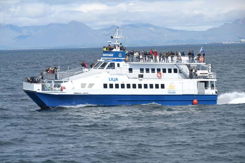 Akureyri: Whale Watching Shore Excursions - Timing, duration, and cruise-day planning