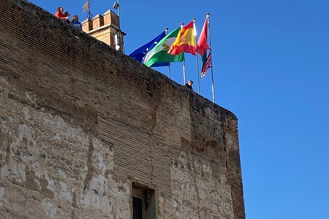 Alhambra Private Tour from Port of Motril - Who will get the most from this tour?