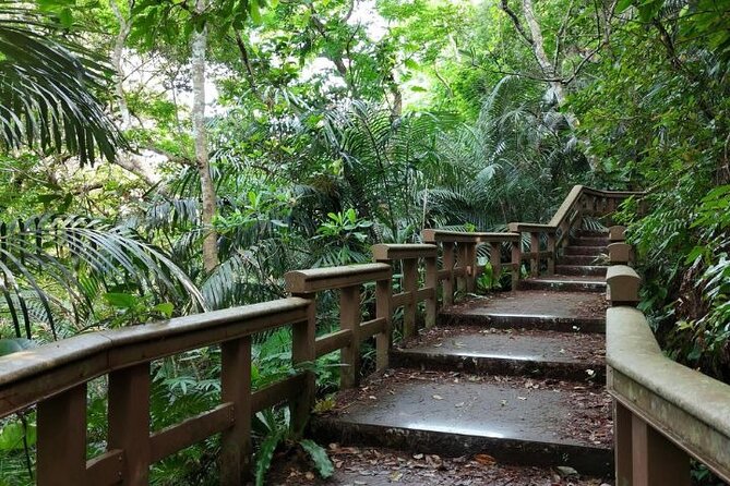 All-Inclusive Ishigaki Island Shore Excursion with English Guide - Yonekoyaki Craft Center: ten minutes of color