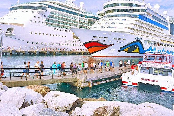 Annandale Falls & Fort Fredrick Express: Cruise Ship Return - Who should book this shore excursion?