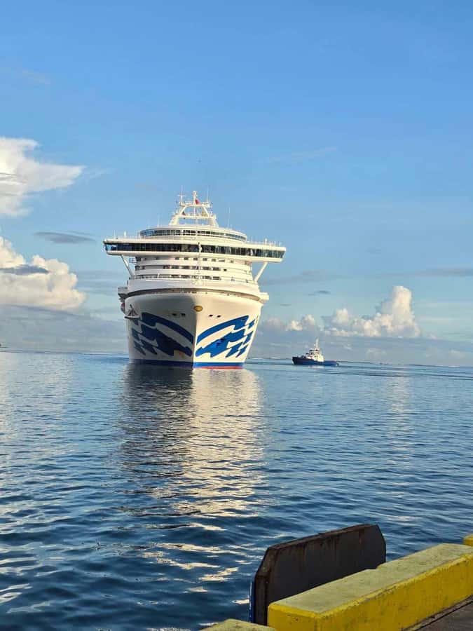 Apia Port: Cruise Guests’ Shore Excursion - Meeting your guide at Apia Port