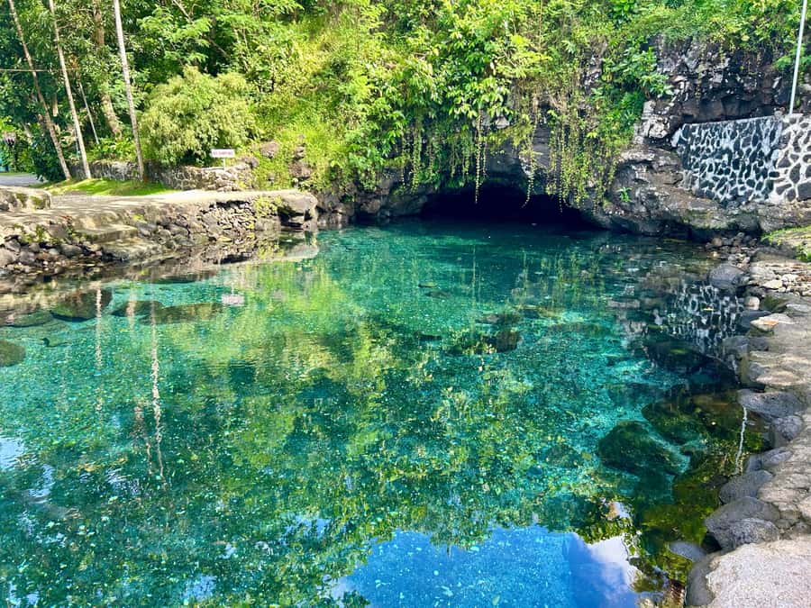 Apia Port: Cruise Guests’ Shore Excursion - The long return to Apia