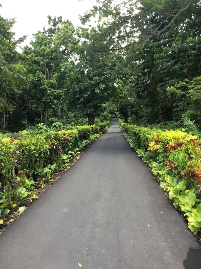 Apia Port: Cruise Guests’ Shore Excursion - What the $155 price really covers