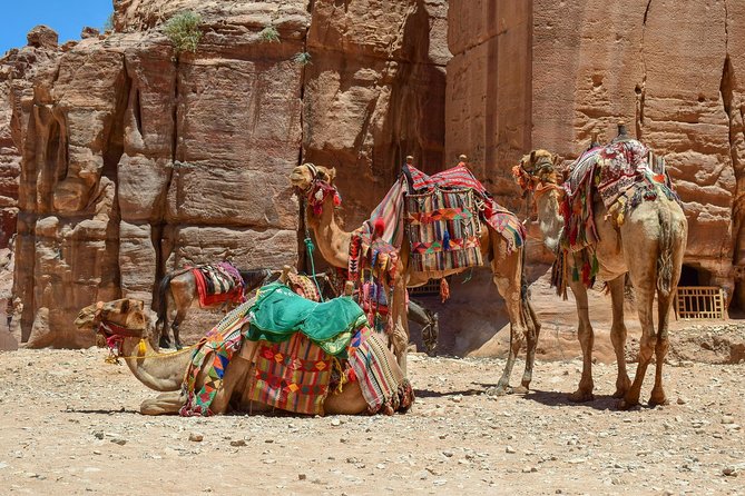 Aqaba Shore Excursion: Private Petra Sightseeing Tour with Lunch - Leaving Aqaba in a private car