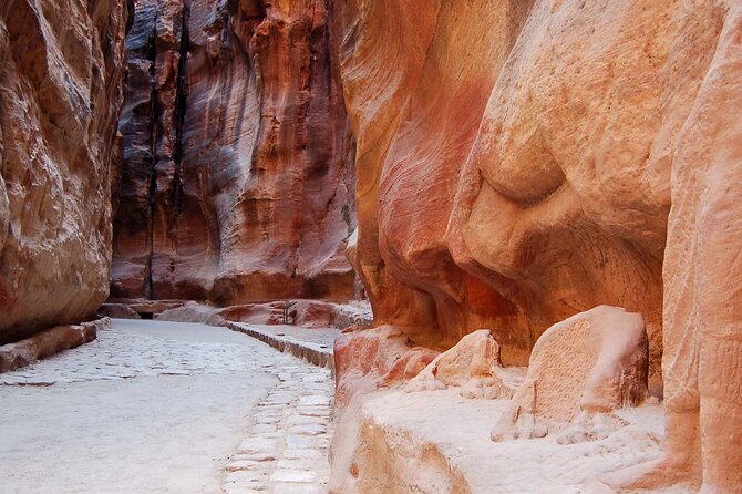 Aqaba Shore Excursion: Private Petra Sightseeing Tour with Lunch - What the $239.99 price really buys