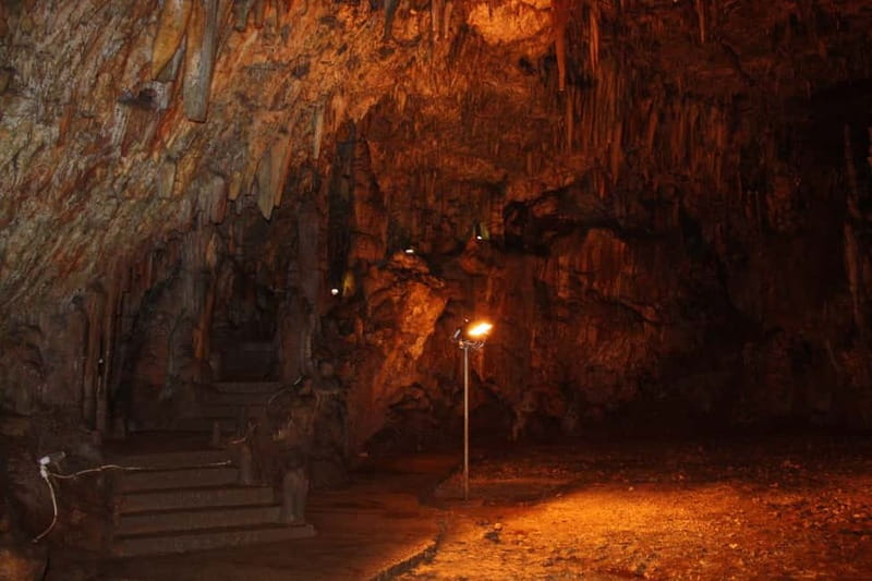 Argostoli: Shore Excursion to Caves with Local Wine Tasting - The guides make the coach rides count