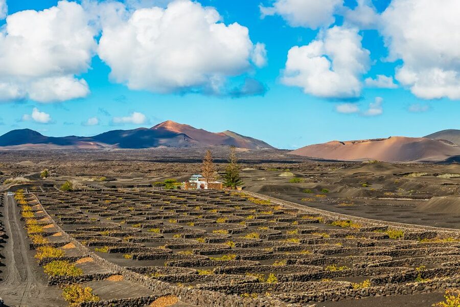 Arrecife: Timanfaya and Green Lagoon for Cruise Passengers - The Green Lagoon at El Golfo