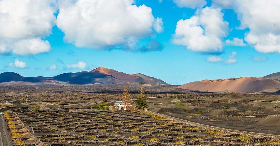 Arrecife: Timanfaya and Green Lagoon for Cruise Passengers - Timanfaya National Park and the Fire Mountains