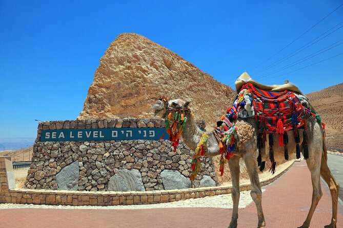 Ashdod Port Shore Excursion: Masada and the Dead Sea Day Tour from Ashdod Port - Key Points to Know Before Booking