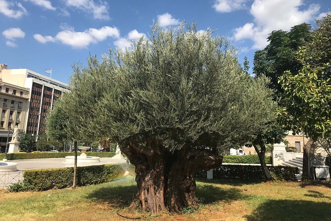Athens by E-Bike: Monuments, Food & Transfers (Cruise Tour) - Hadrian’s Arch and the Temple of Zeus