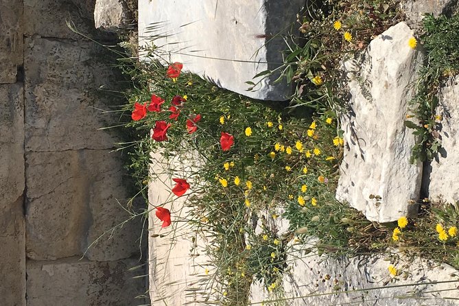 Athens Shore Excursion: Private City Sightseeing and Acropolis Tour - Hadrian’s Arch and the city beyond classical Athens