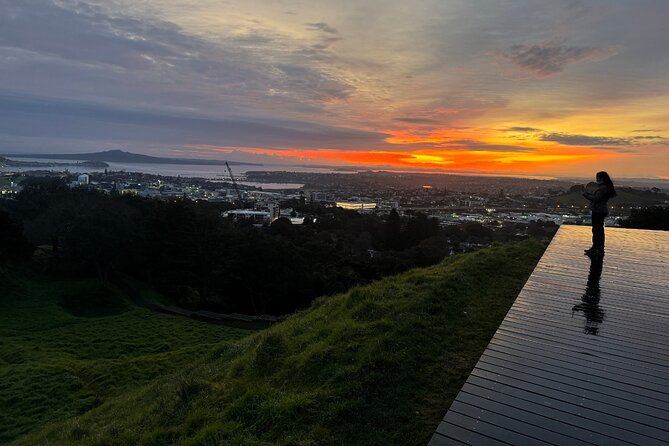 Auckland Private City Tour. Cruise port or Hotel pick up. - Tamaki Drive turns the tour toward the water