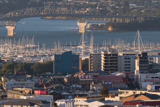 Auckland Private City Tour. Cruise port or Hotel pick up. - Auckland Domain and the museum choice