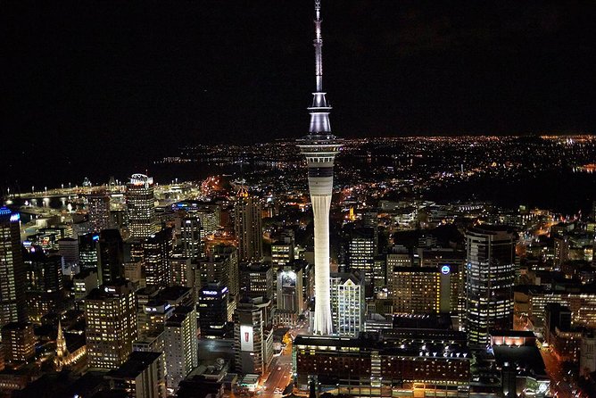 Auckland Shore Excursion: Half-Day Guided City Tour - Devonport and Mount Victoria’s wide view