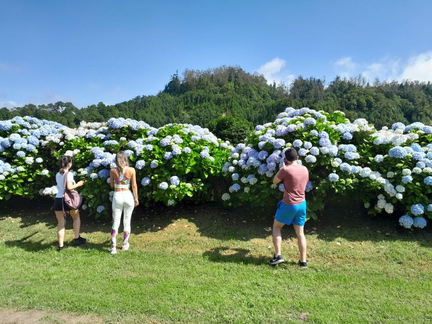 Azores: Sete Cidades, Blue & Green Lake Shore Excursion - A Arruda Pineapple Plantation and the tasting