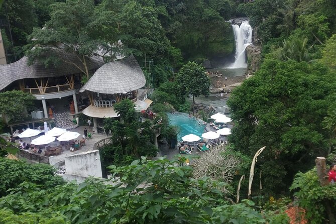 Bali Benoa Shore Excursion for cruise's passenger - All Inclusive - Tegallalang Rice Terrace and the value of a guide