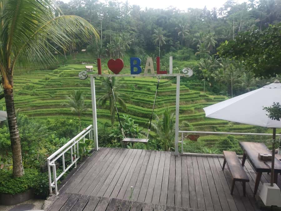 Bali: Shore Excursion for Cruises's passenger -All Inclusive - Bali Swing, scenic but firmly optional