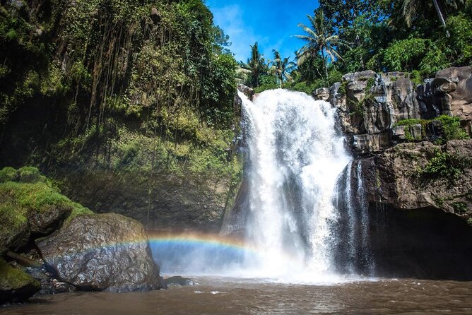 Bali Shore Excursions : Best of Bali Tour - Key points to know before booking