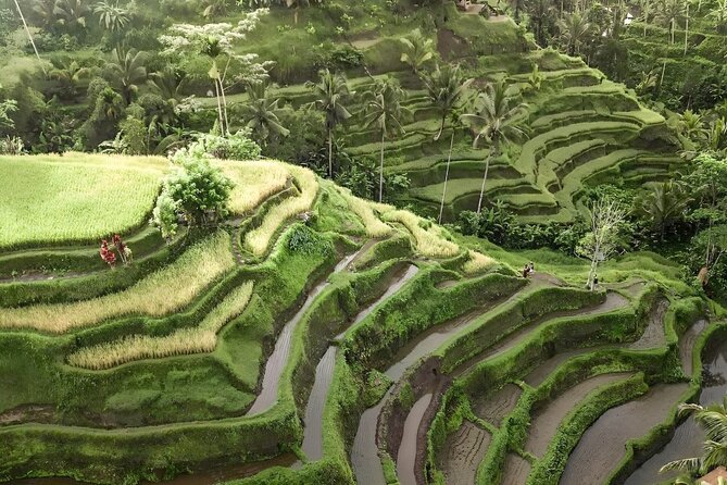 Bali Shore Excursions : Best of Bali Tour - The flexible route is useful, but ask clear questions