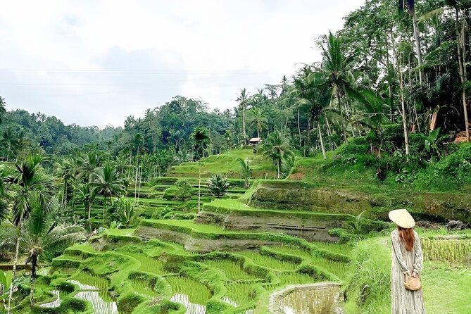 Bali Shore Excursions : Best of Bali Tour - What the $25 price really covers